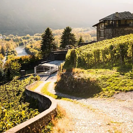 Del Lupo: Crown Of The Valtellina Tresenda